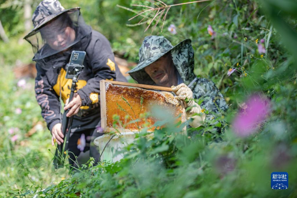 龙都国际登录网址